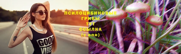 первитин Тихвин