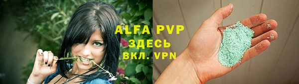 сатива Абаза