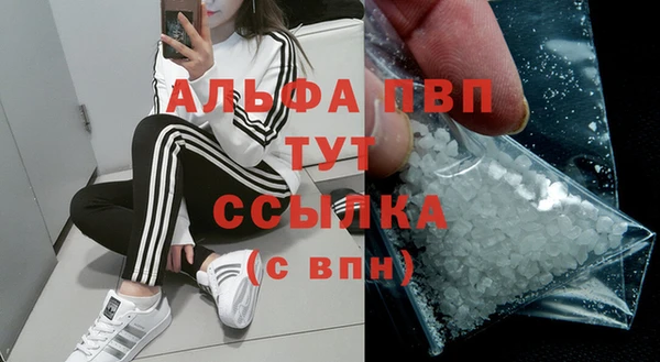 сатива Абаза