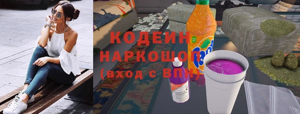 хмурый Алексин