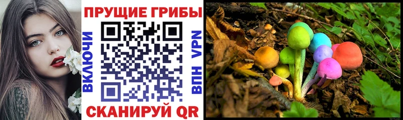 Псилоцибиновые грибы GOLDEN TEACHER  Шахунья 